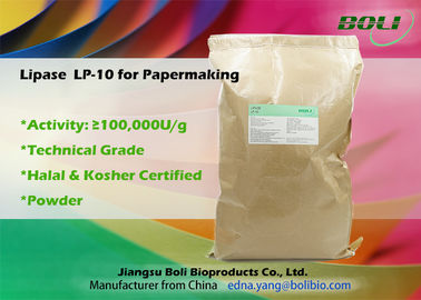 製紙業の技術的な等級の薄茶の粉の産業リパーゼの酵素