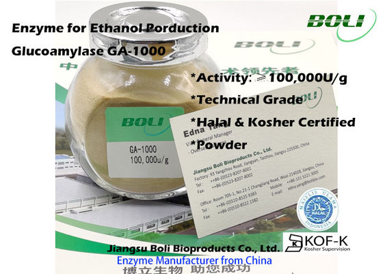 GA-1000産業グルコアミラーゼの酵素の粉