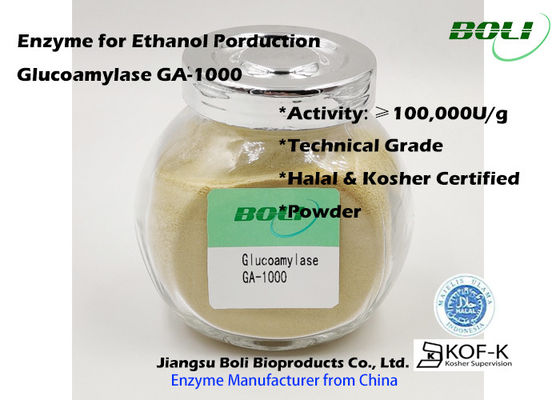 GA-1000産業グルコアミラーゼの酵素の粉