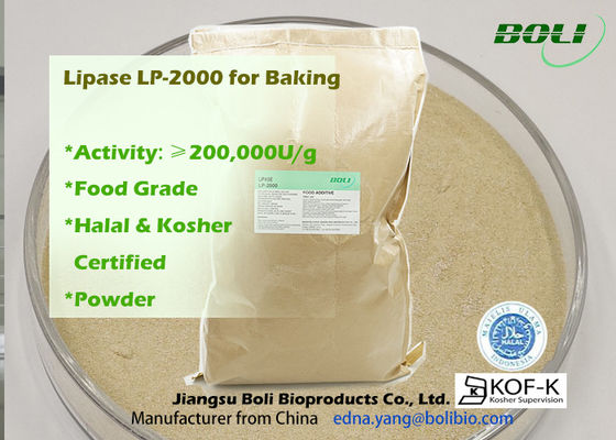 200000u/GはLP2000パン屋の食糧使用のための高く有効なリパーゼの酵素を粉にする