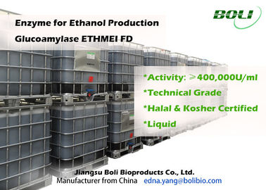 エタノールの生産のための高い酵素活性のグルコアミラーゼETHMEI FD