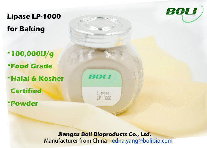 パン屋のための食品等級のリパーゼのベーキング酵素LP-1000の粉8%の湿気