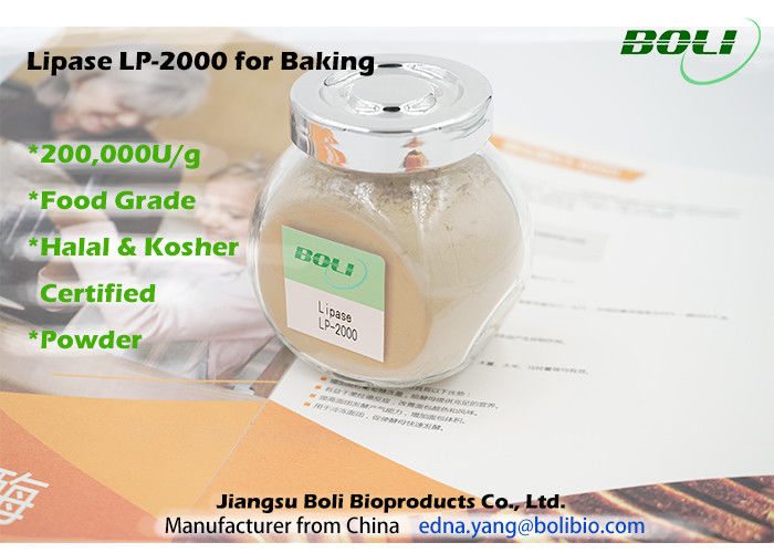 リパーゼの固体粉のベーキング酵素の高く有効な安定した活動200000 U/g