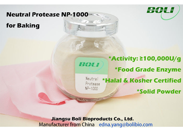 食品等級のベーキング酵素の中立プロテアーゼの粉非GMO 100000 U/g