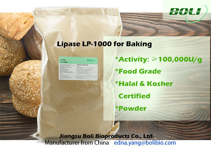 薄黄色の粉のパン屋/リパーゼの酵素の湿気8%の優秀な安定性