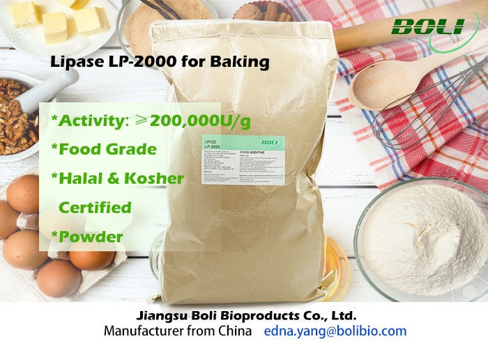 パン屋200000 U/gのために有効な食品等級の粉のリパーゼの酵素LP-2000高く